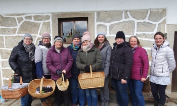 Kräuterwanderungen